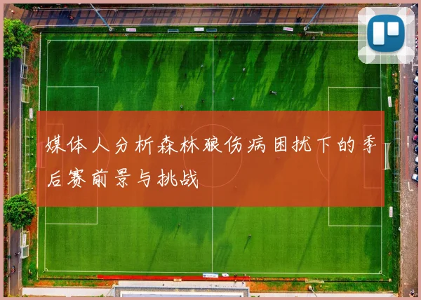 媒体人分析森林狼伤病困扰下的季后赛前景与挑战
