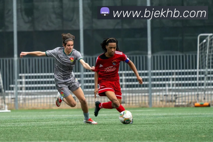 星空体育官网首页发展历程